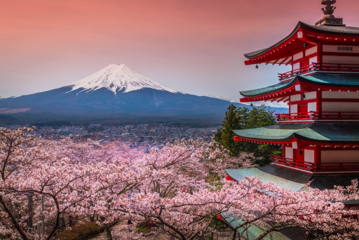 Tokyo private tour